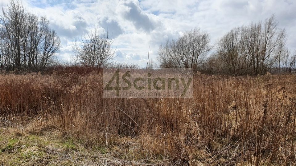 Zdjęcie 3