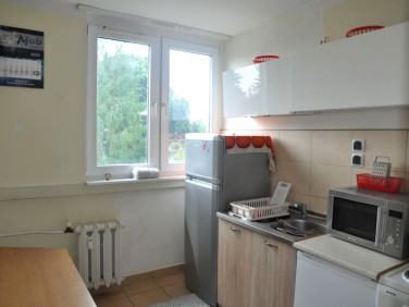 Mieszkanie Świętoszów