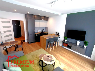 Mieszkanie Szczecin wynajem