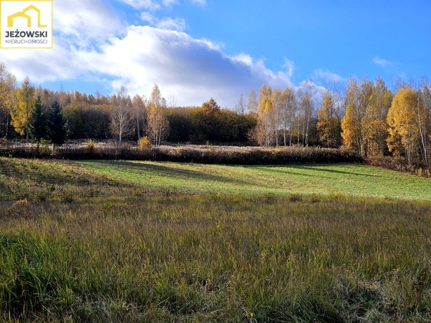 Działka Kazimierz Dolny