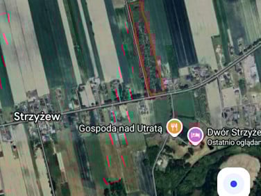 Działka siedliskowa Strzyżew