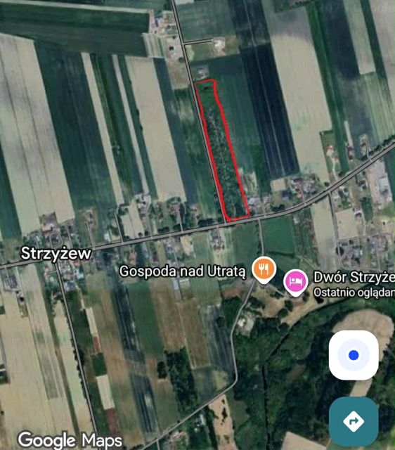 Działka siedliskowa Strzyżew