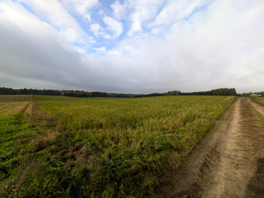 Działka rolna sprzedam