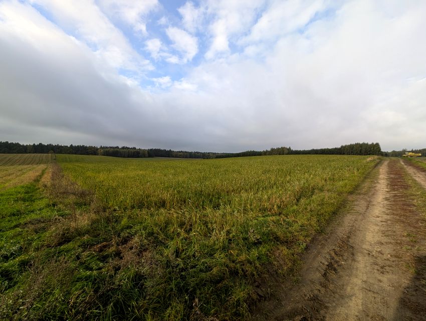 Działka rolna sprzedam