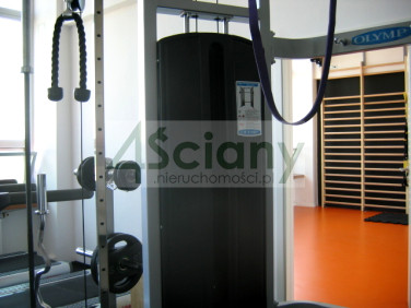 Lokal Warszawa wynajem