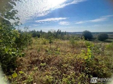 Działka budowlano-rolna Żółwia Błoć