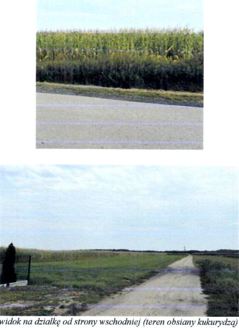 Działka rolna Osiek