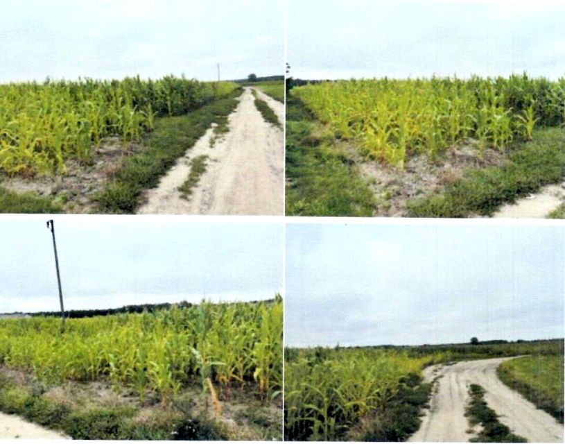 Działka rolna Świerczynek