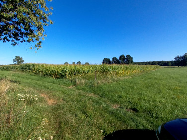 Działka rolna Opole