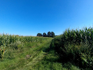 Działka rolna Opole sprzedam