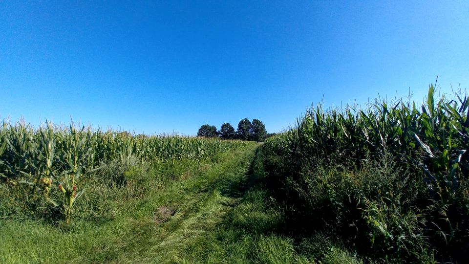 Działka rolna Opole sprzedam