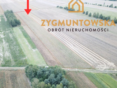 Działka Białaczów