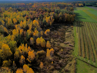 Działka budowlana Brzyska Wola