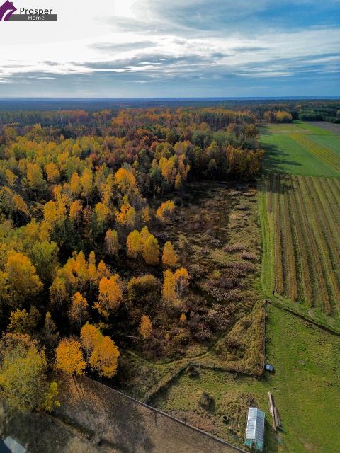Działka budowlana Brzyska Wola