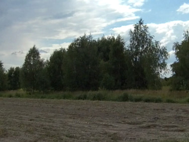 Działka budowlana sokołów