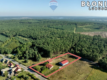 Dom Błonie sprzedaż