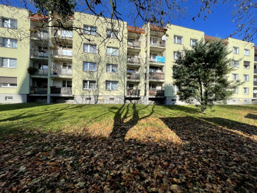 Mieszkanie Września sprzedaż