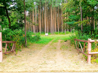 Działka rekreacyjna Budy Grabskie