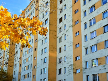 Mieszkanie Bielsko-Biała