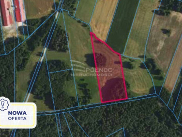 Działka rolna RYNKI