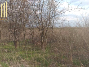 Działka rolna Latowicz sprzedam