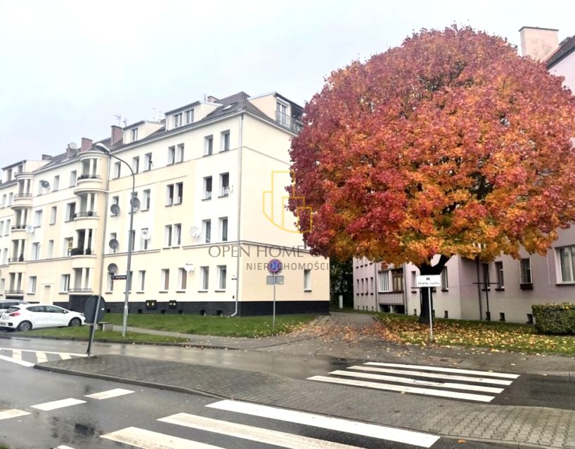 Mieszkanie Oleśnica