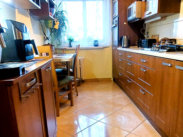 Mieszkanie Pogwizdów