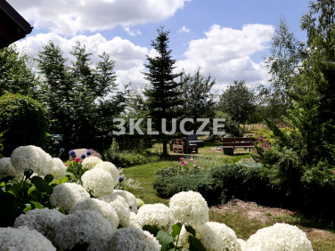 Dom wolnostojący sprzedaż