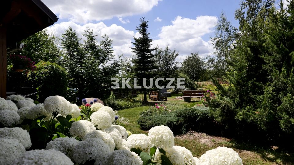 Dom wolnostojący sprzedaż