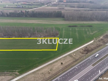 Działka budowlana Dąbrowica sprzedam