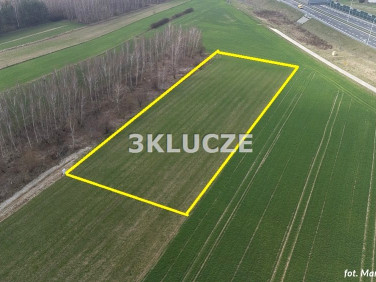 Działka budowlana Dąbrowica