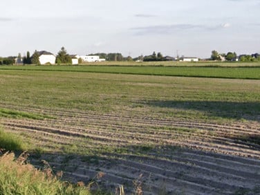 Działka budowlana Falenty Nowe