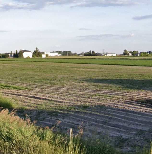 Działka budowlana Falenty Nowe