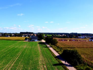 Działka Kalwy