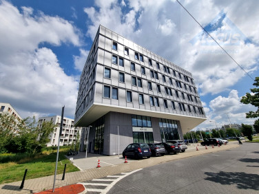 Lokal Warszawa wynajem