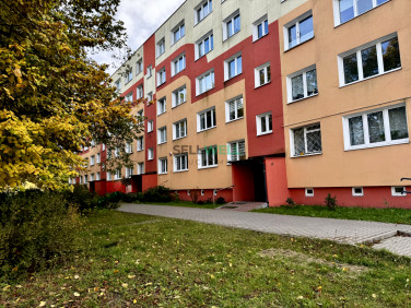 Mieszkanie Łódź