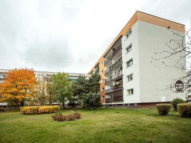 Mieszkanie Łódź