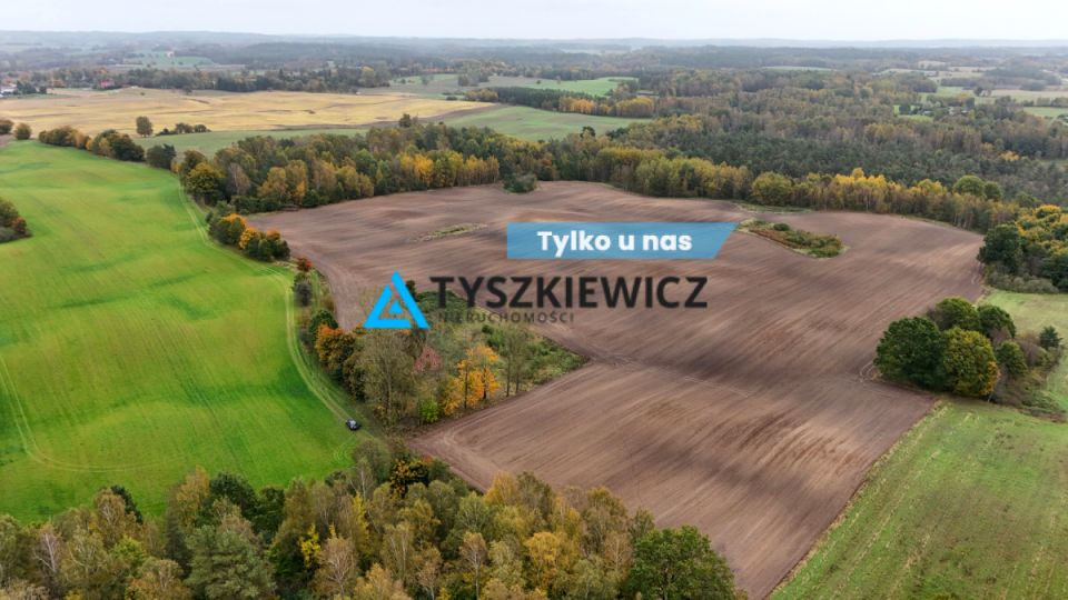 Działka rolna Borowina