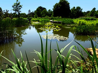 Działka inna Tarnowiec