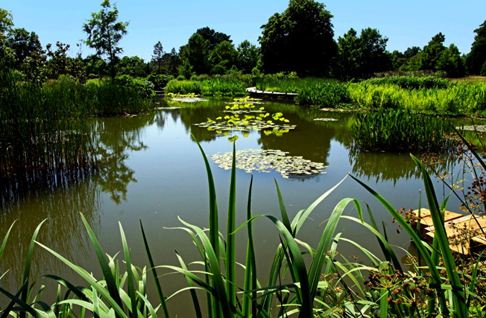 Działka inna Tarnowiec