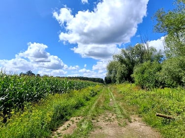 Działka inna Tarnowiec sprzedam