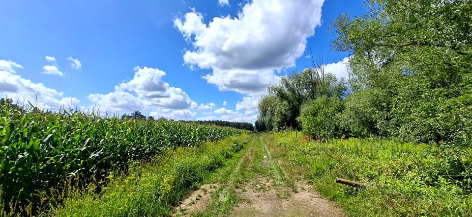 Działka inna Tarnowiec sprzedam