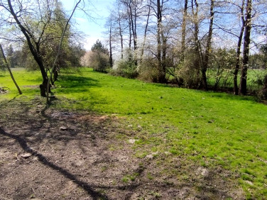 Działka chybie mnich