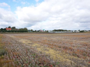 Działka budowlana Ruda