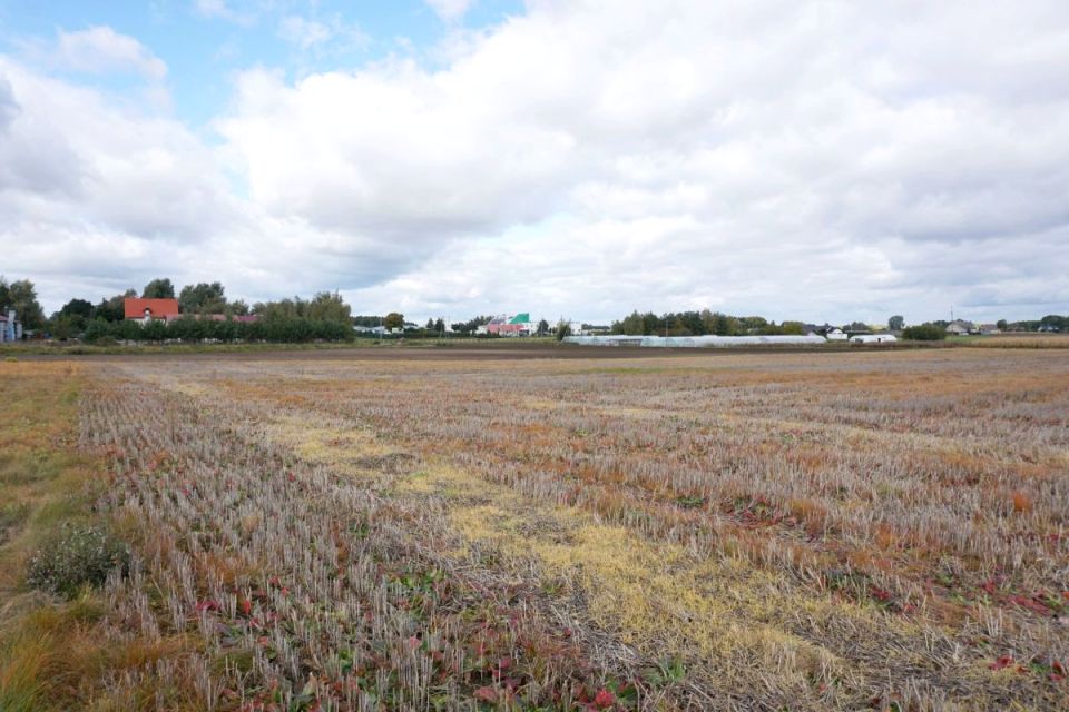 Działka budowlana Ruda