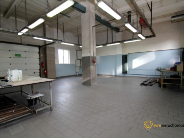 Lokal Środa Śląska