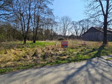Działka Mędrzechów