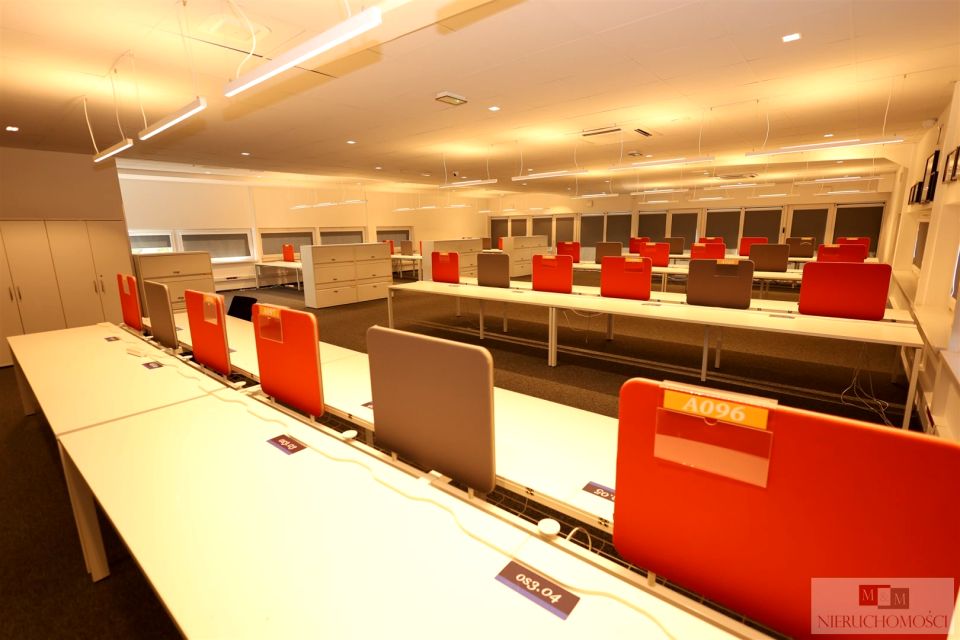 Lokal Opole