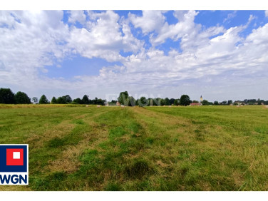 Działka rolna Jędrzychów