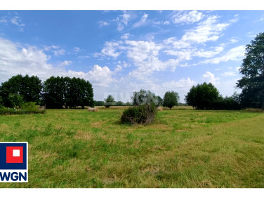 Działka rolna Jędrzychów